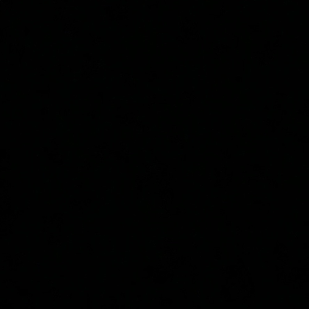 Meet your Posher, Siena